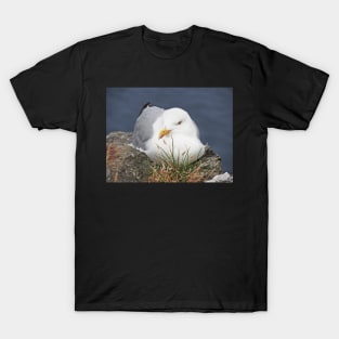 Resting T-Shirt